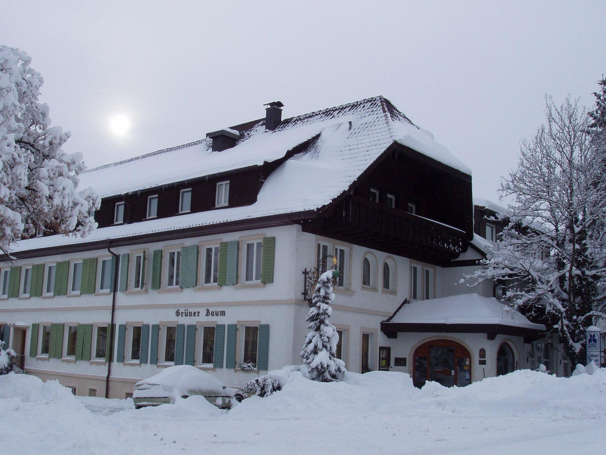 Flair Hotel Gruener Baum Donaueschingen Exterior foto